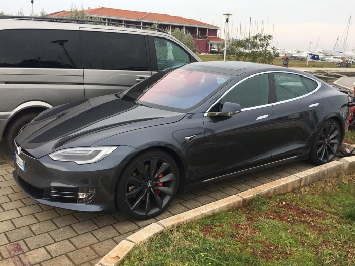 Model S P100D