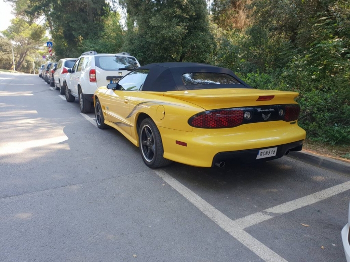 Firebird Trans Am Convertible